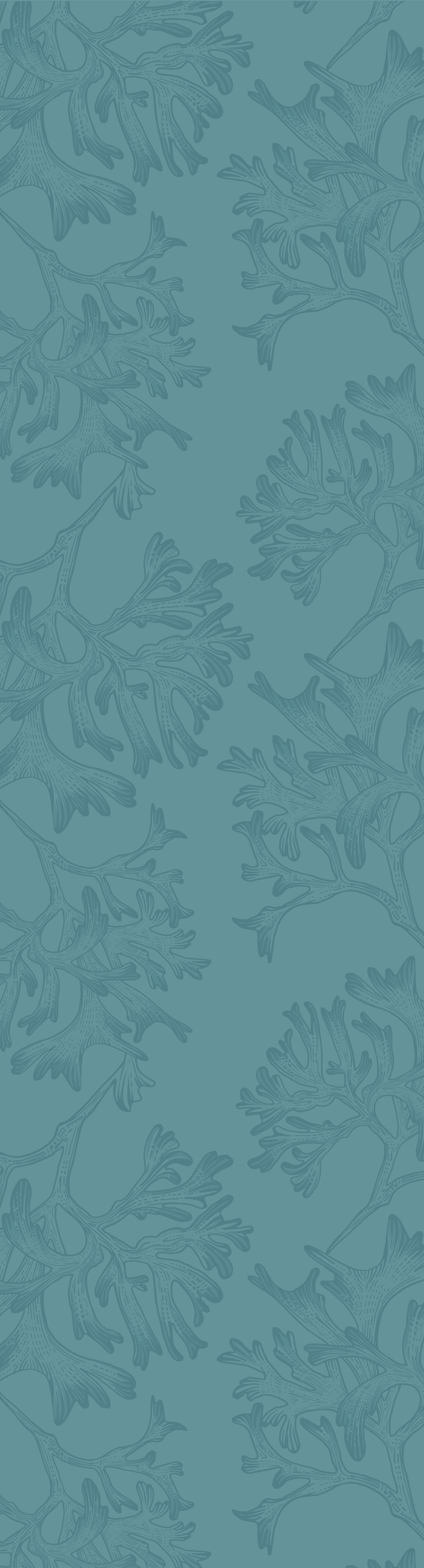 Ribbon design